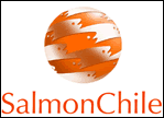 Salmonchile